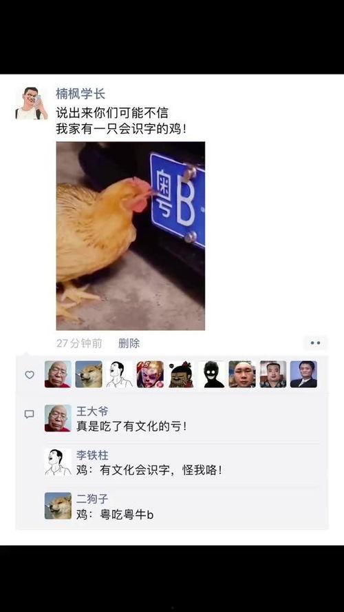 搞笑爆料神评视频大全集,笑点满满,回味无穷 第1张 搞笑爆料神评视频大全集,笑点满满,回味无穷 第1张